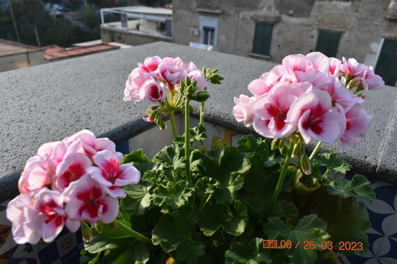 Casa Materdei Apartment Naples Luaran gambar